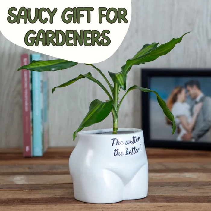 Put Some Plants On - The Wetter, The Better