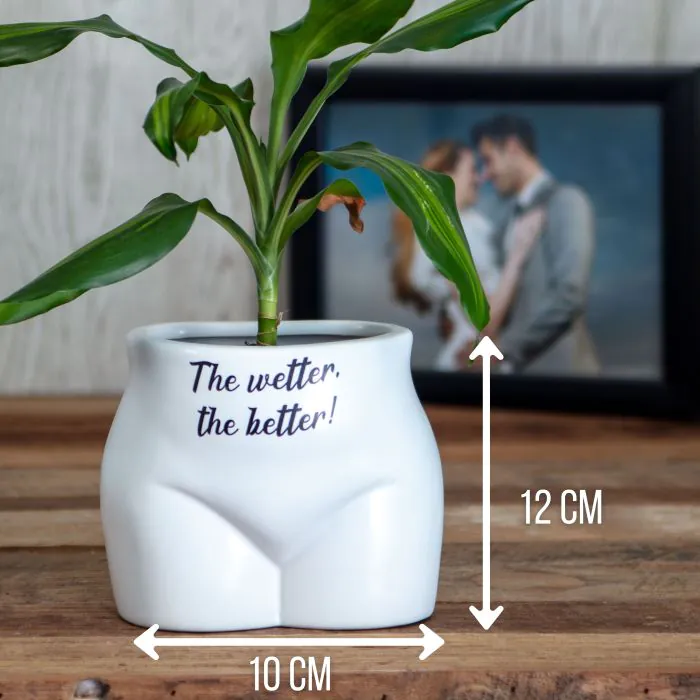 Put Some Plants On - The Wetter, The Better