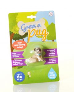 Grow A Pug Toy