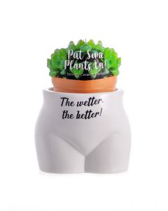 The Wetter, The Better - Put Some Plants On! Plant Pots