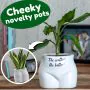 Put Some Plants On - The Wetter, The Better thumbnail