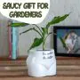 Put Some Plants On - The Wetter, The Better thumbnail