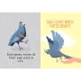 Positivity Pigeon Book thumbnail