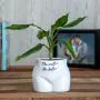 Put Some Plants On - The Wetter, The Better thumbnail